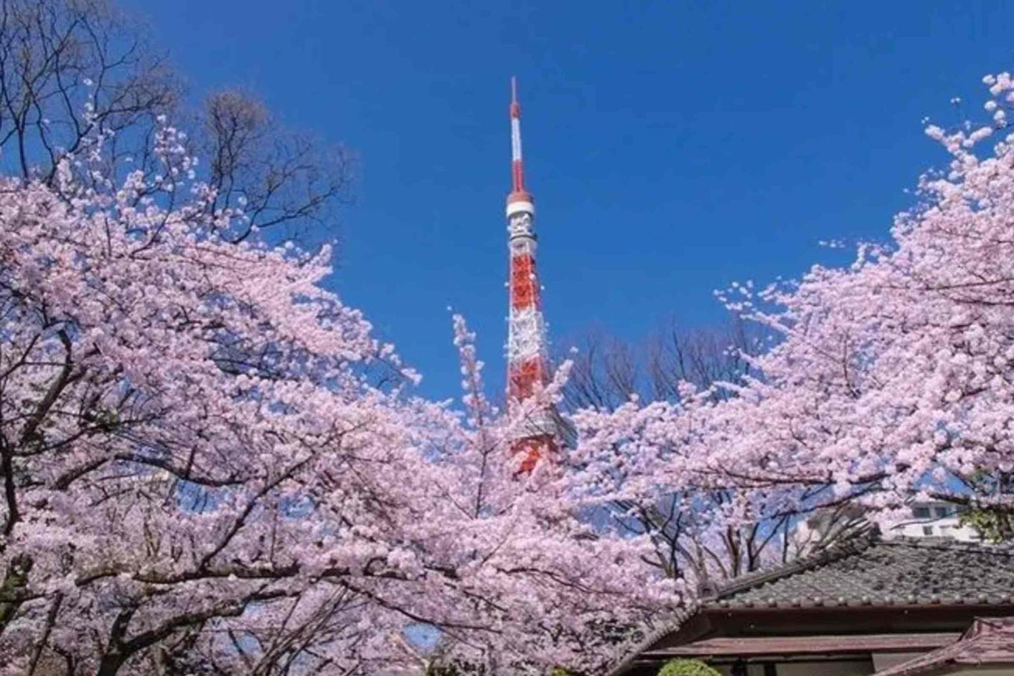 Five Room 120 Sky Tree Sensoji Freeparking 1292Sqft Tokió Kültér fotó
